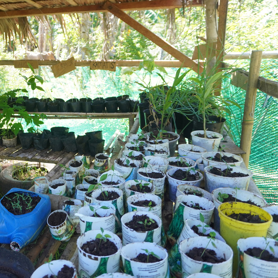 Project tree nursery in Santa Fe, Cebu ©IFI-VIMROD