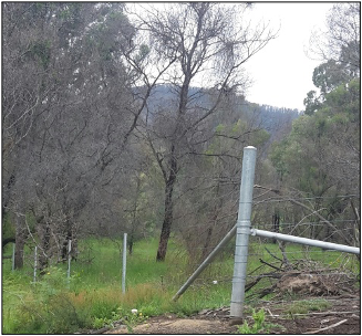 Part of the new metal fencing installed on Rory and Lynette’s property through the ABM bushfire grant