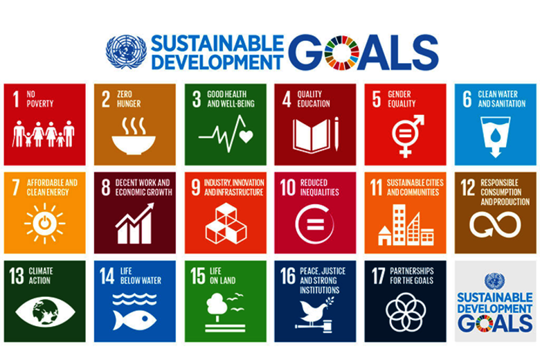 Sustainable Development Goals, SDG