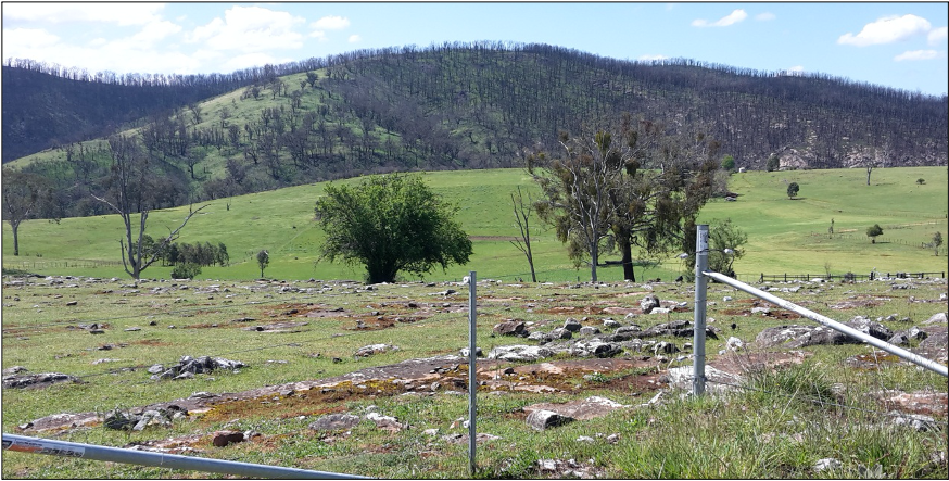 East Gippsland bushfires, scorched land