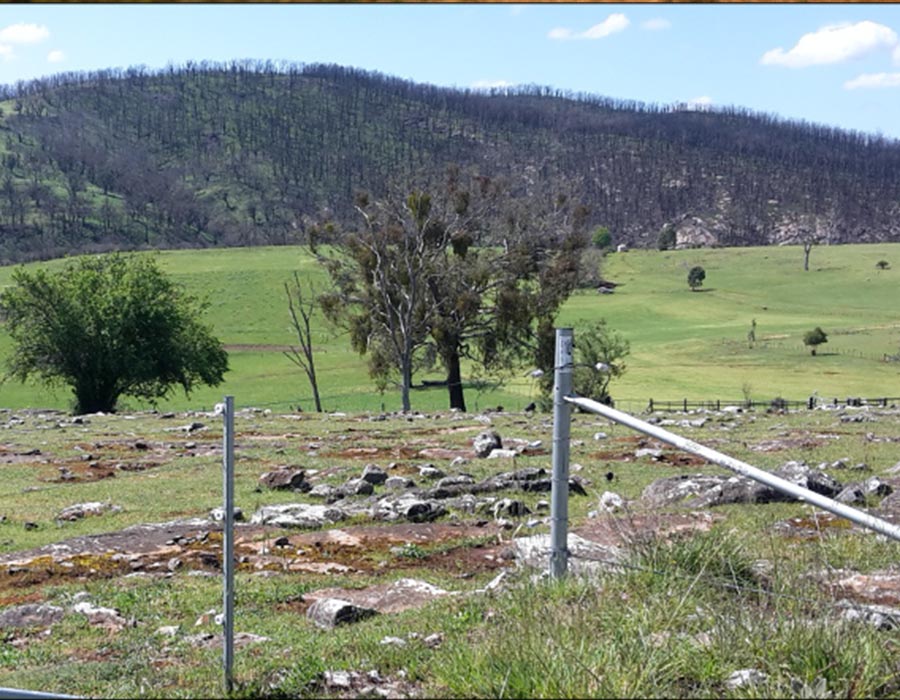 Update Australia bushfires part 2