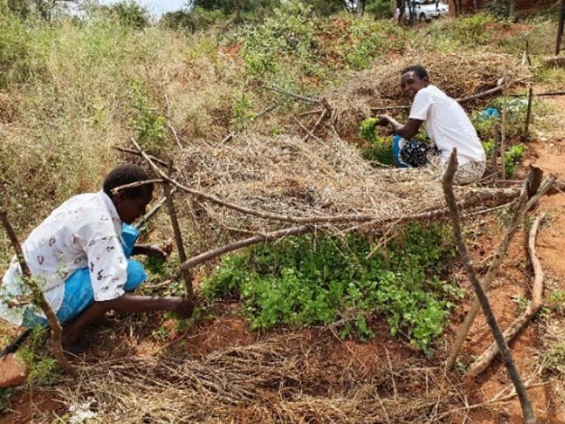 Members of the Kiangini Farm Pond PWD Self-Help Group tend to their group coriander plot. © ADSE.