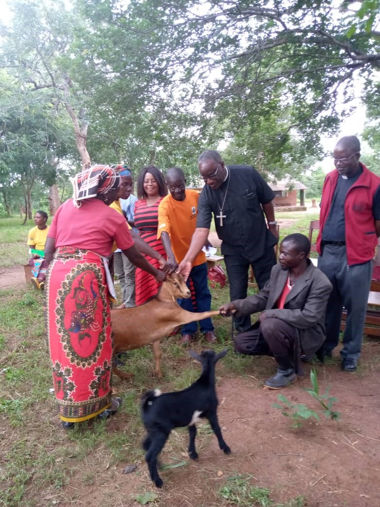 Women in Eastern Zambia experienced increases in their livelihoods due to the program implemented by ABM’s partner, ZACOP © ZACOP.