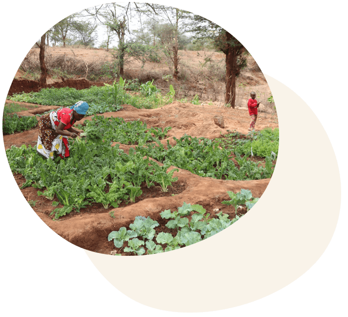A Kenyan farmer sells vegetables direct from her farm after receiving training in drought-resistant cropping, and farm inputs from ADSE. © ADSE.
