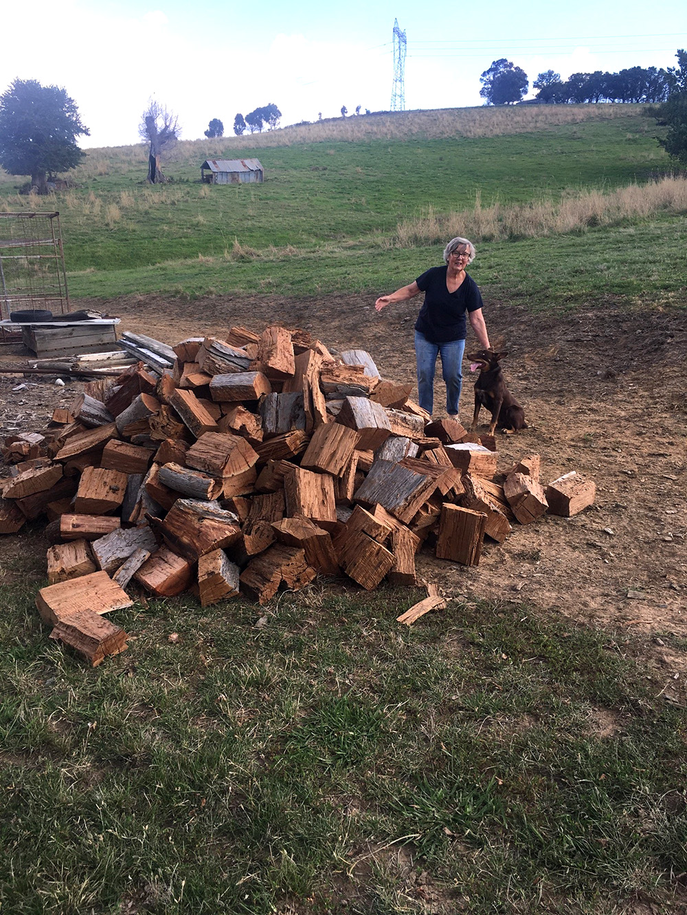 Anglicare provided firewood to this woman affected by bushfires in Batlow. © Anglicare/Debbi Fluke. Used with permission.