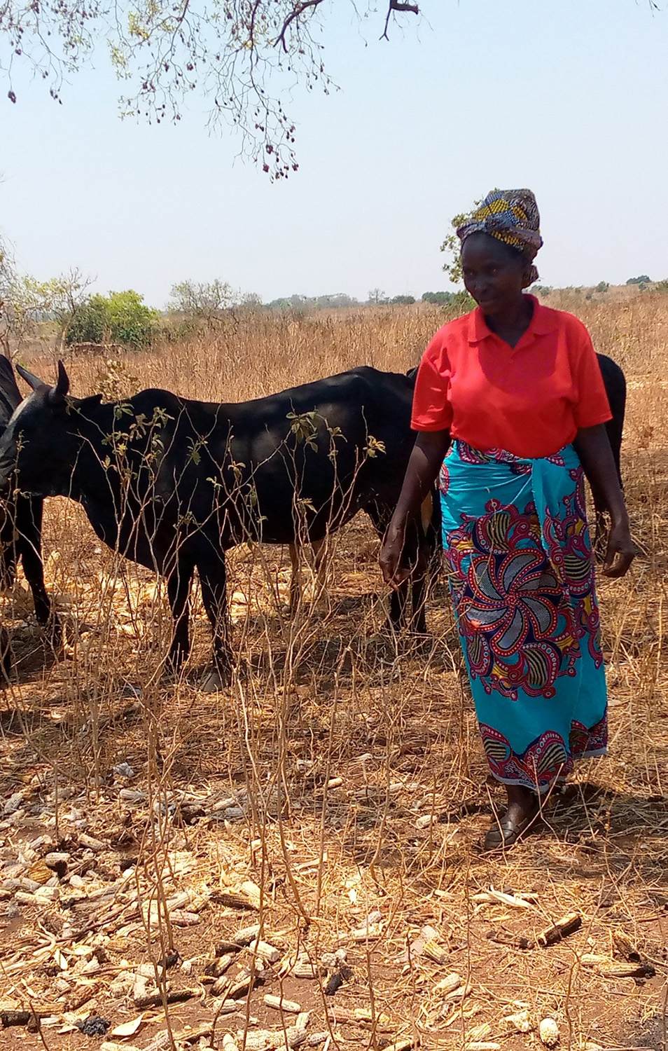 Margaret bought three cows after joining a Savings Group