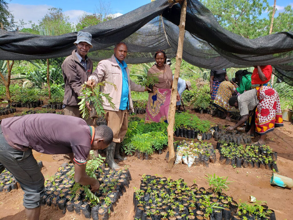 Kima Self-Help Group in Kenya sorting trees from their tree nursery to sell to fellow farmers. © Anglican Development Services Eastern, Kenya. Used with permission.