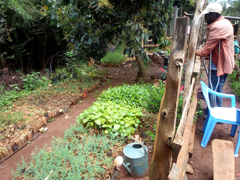 Ken with his tree nursery now conveniently located at his home. © Diocese of Eldoret. Used with permission.