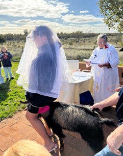 The bride arrived on a goat! © Gloria Shipp. Used with permission.