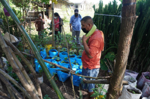 A plant nursery created by project participants. © IFI-VIMROD. Used with permission.