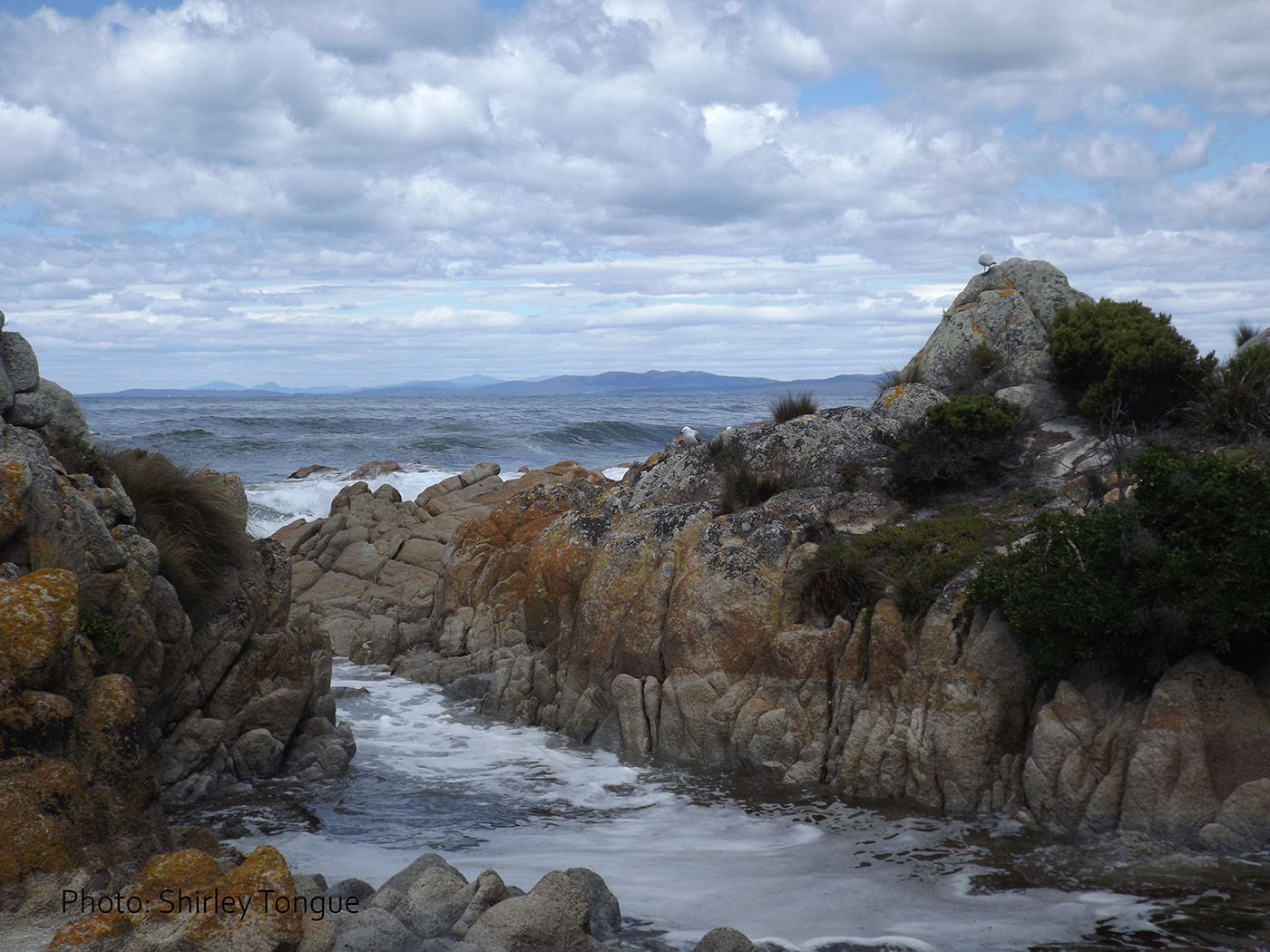 Bay of Fires © Shirley Tongue. Used with permission