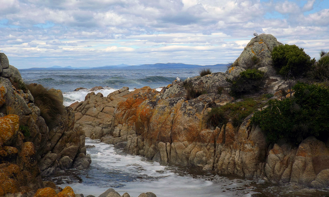 Bay of Fires © Shirley Tongue. Used with permission.