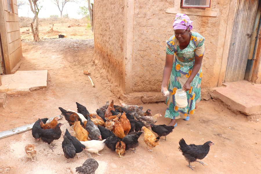 Catherine with her chickens ©ADSE