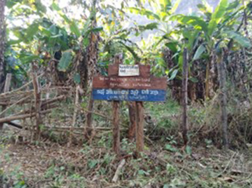 A community farm in Thit Or Pha village. © CPM. Used with permission.