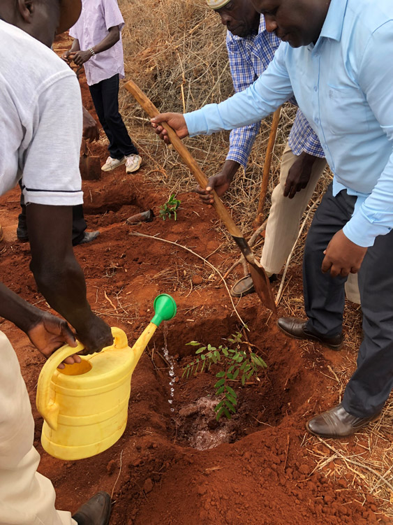 Planting a tree on the demonstration plot ©AID