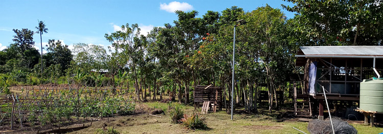 Model gardens and a poultry enclosure at St Nicholas’ School Farm, used by ACOM for community training in food security near the capital, Honiara. © Terry Russell, AID. Used with permission.