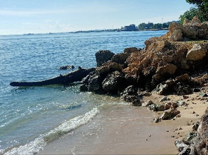 Part of Bishopsdale Coastal Protection and Retention Sea Wall. © ACOM.