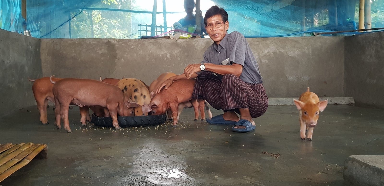 U Kan Tun whose new piglets have given him new hope for the future. © CPM. Used with permission.