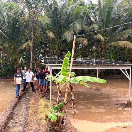 Rice farmer Joey with other local rice farmers showing the solar panels situated in the rice paddy. These reduce their reliance on diesel.