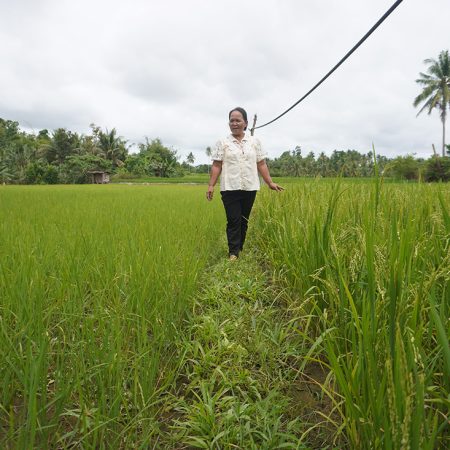 Helen’s homemade fertiliser and traditional rice crop resulted in both a 50%drop in expenses and a better yield than her neighbours. © IFI-VIMROD. Used with permission.