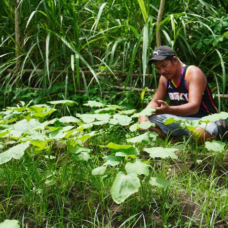 Joel now grows enough vegetables to feed his family and sell the excess as a second income stream, thanks to techniques he learnt as part of IFI VIMROD’s program with BAFADA © IFI-VIMROD. Used with permission.