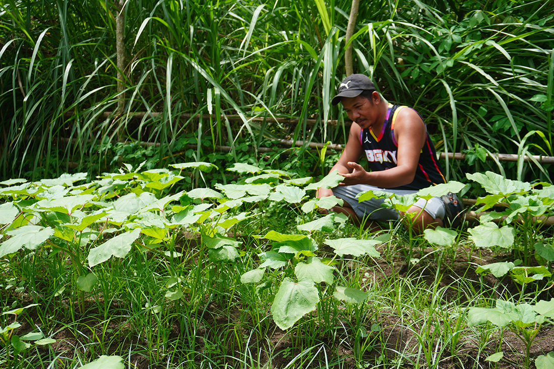 Joel now grows enough vegetables to feed his family and sell the excess as a second income stream, thanks to techniques he learnt as part of IFI VIMROD’s program with BAFADA © IFI-VIMROD. Used with permission.