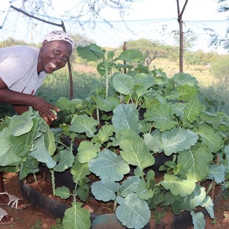Catherine harvests her kale to sell through Jacinta’s shop, providing a more stable income for her family. © ADSE, used with permission.