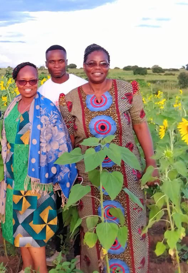 ZACOP Country Director, Ellen Mubanga (R), stands among the successful sunflower crop with Kalwani Gender Action Group Secretary, Million (centre), and Diocese Gender Coordinator, Susan (L) © ZACOP. Used with permission.