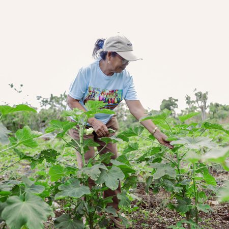 Luz uses organic fish amino acid to fertilise the vegetables in her garden. © IFI-VIMROD. Used with permission.