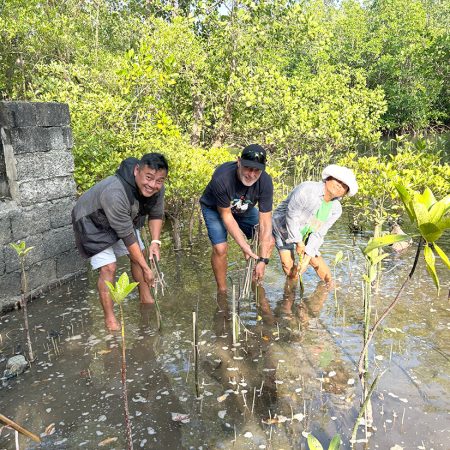 Rufina and other local volunteers have planted thousands of mangrove propagules to help restore the seashore. © ABM/Meagan Schwarz.