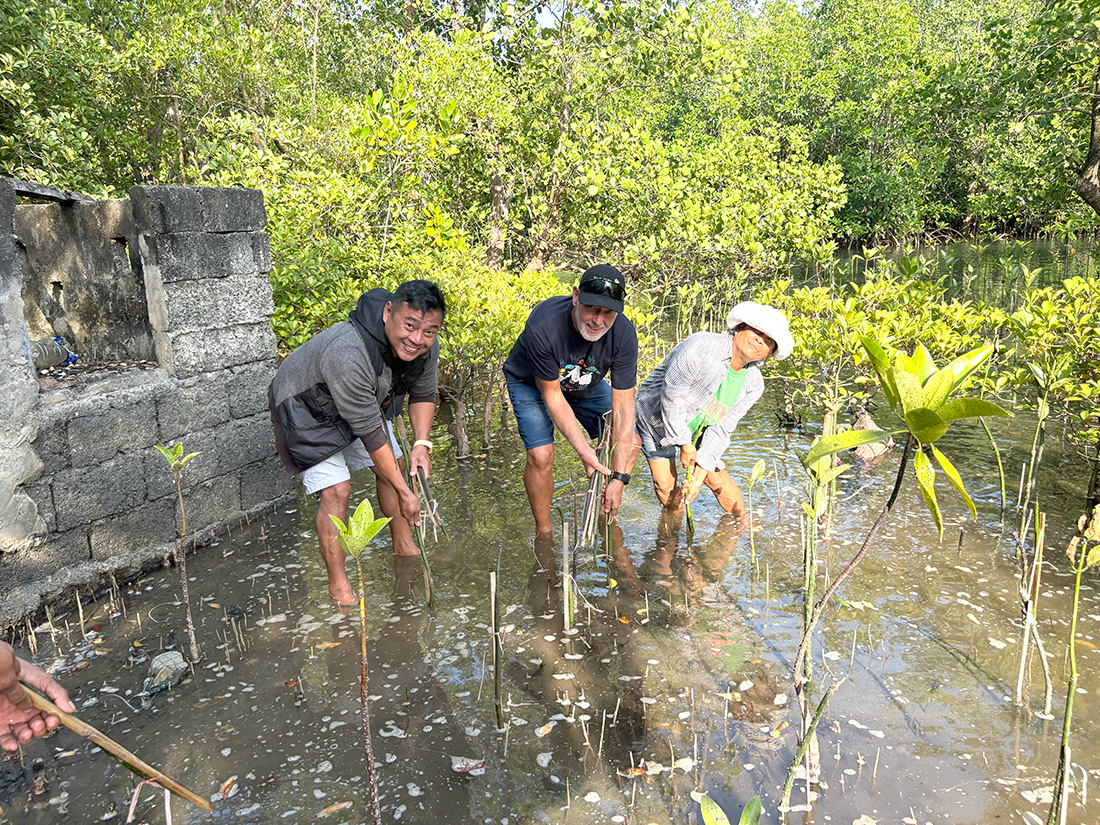 Rufina and other local volunteers have planted thousands of mangrove propagules to help restore the seashore. © ABM/Meagan Schwarz.