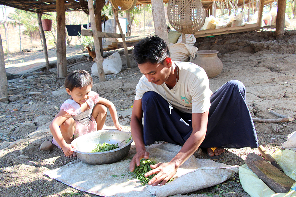 Win and his daughter preparing food for their pigs, Myanmar. © ABM. Used with permission.