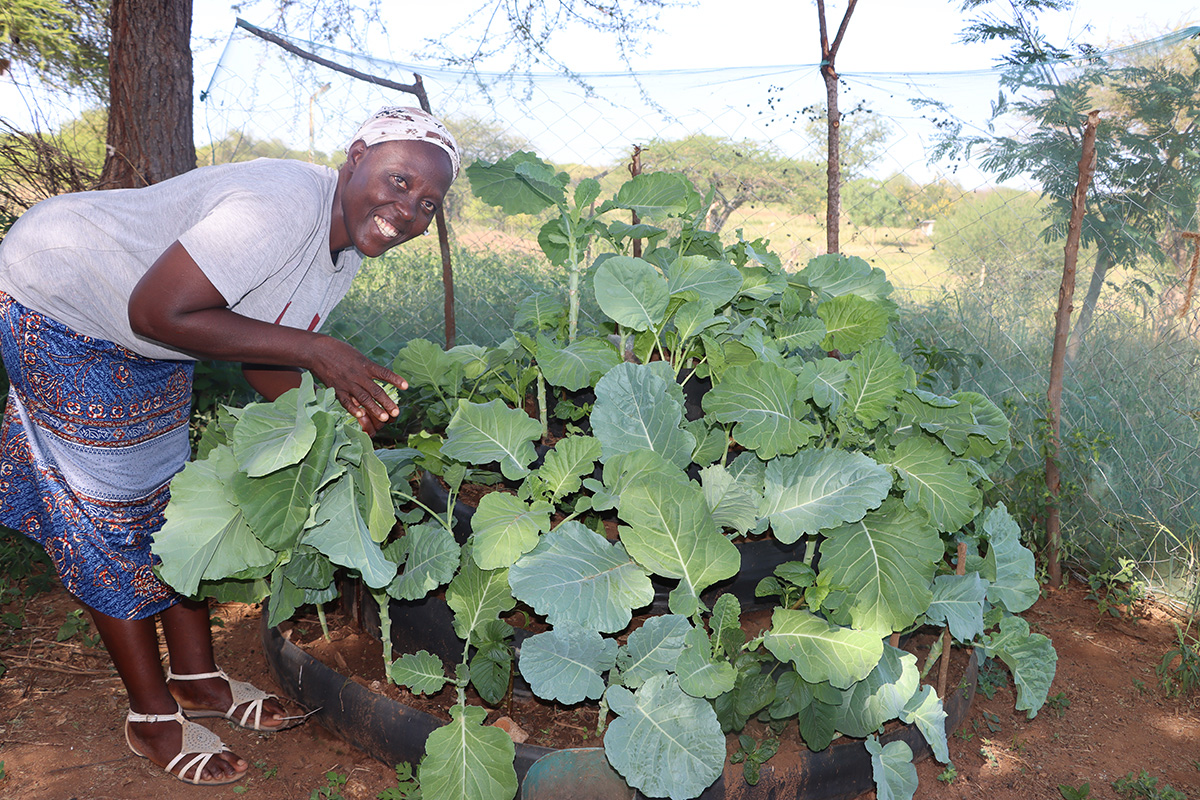 Catherine harvests her kale to sell through Jacinta’s shop, providing a more stable income for her family.