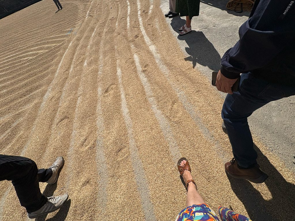 ABM’s Meagan Schwarz and pilgrims with Fr Ralph walking across the concrete slab ABM funded in early 2000s – a piece of history and a foundation for a flourishing community © ABM