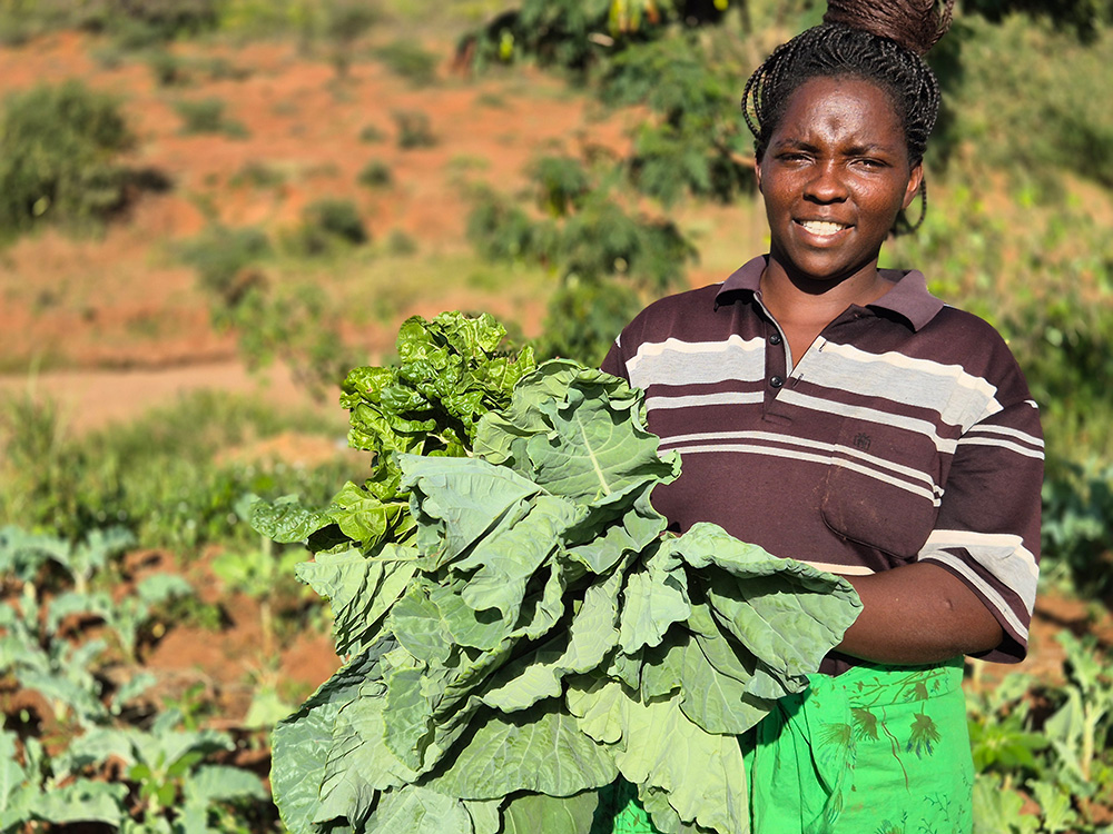 In Kenya, Annah harvests vegetables from her farm © ADSE. Used with permission.