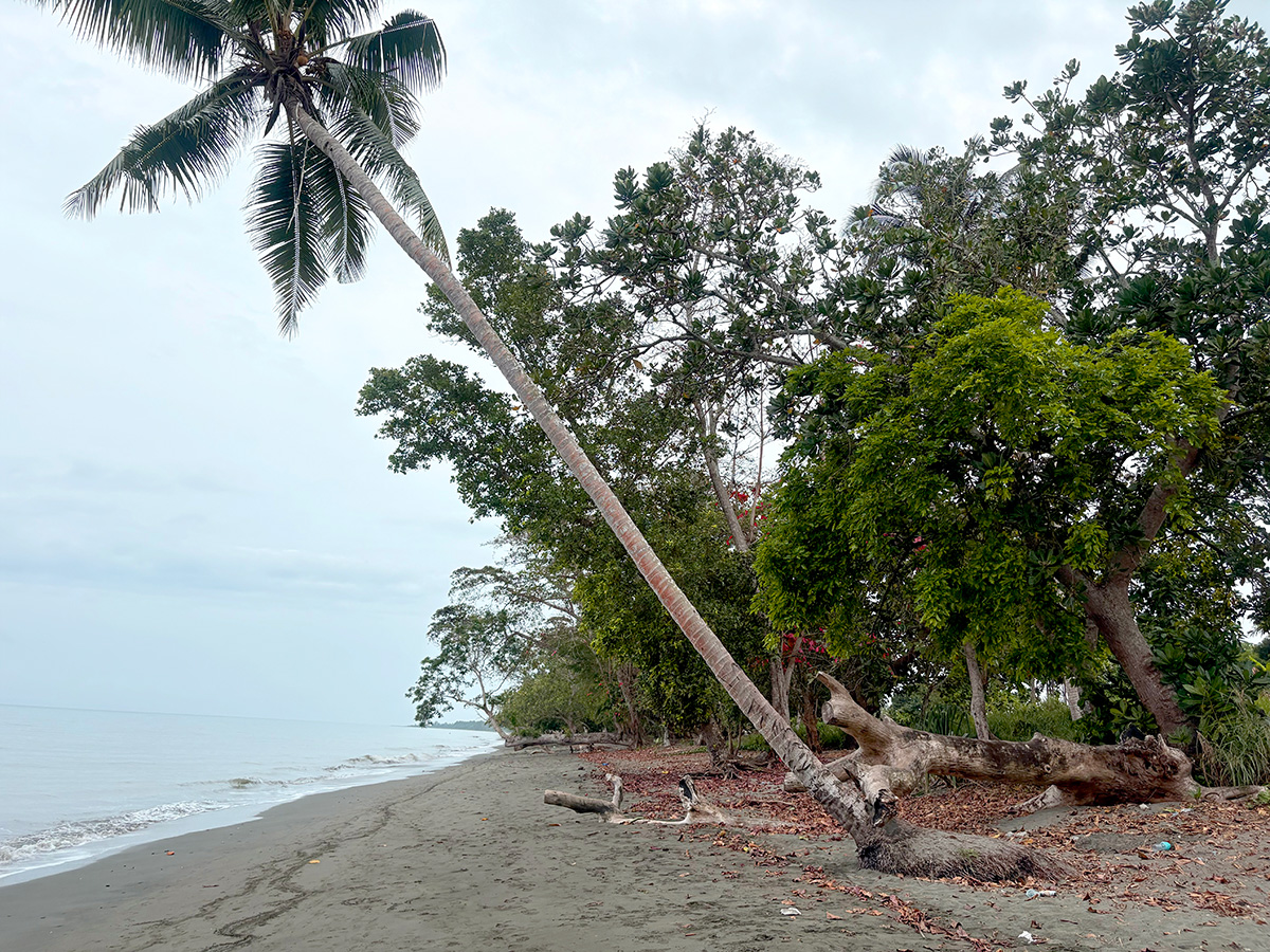 Shoreline at Red Beach near Honiara where measurements are taken to track erosion and sea levels. © ABM/Meagan